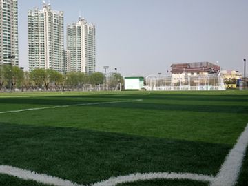 北京人造草足球场施工工程案例之朝阳区西岸体育公园